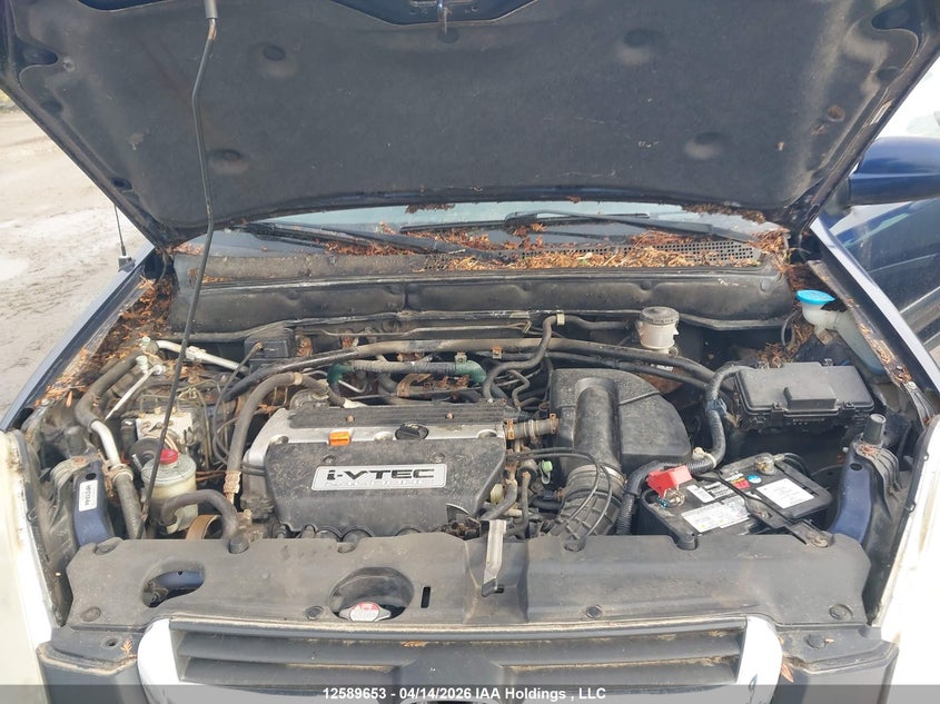 2003 Honda Cr-V Ex VIN: JHLRD78803C801371 Lot: 12589653