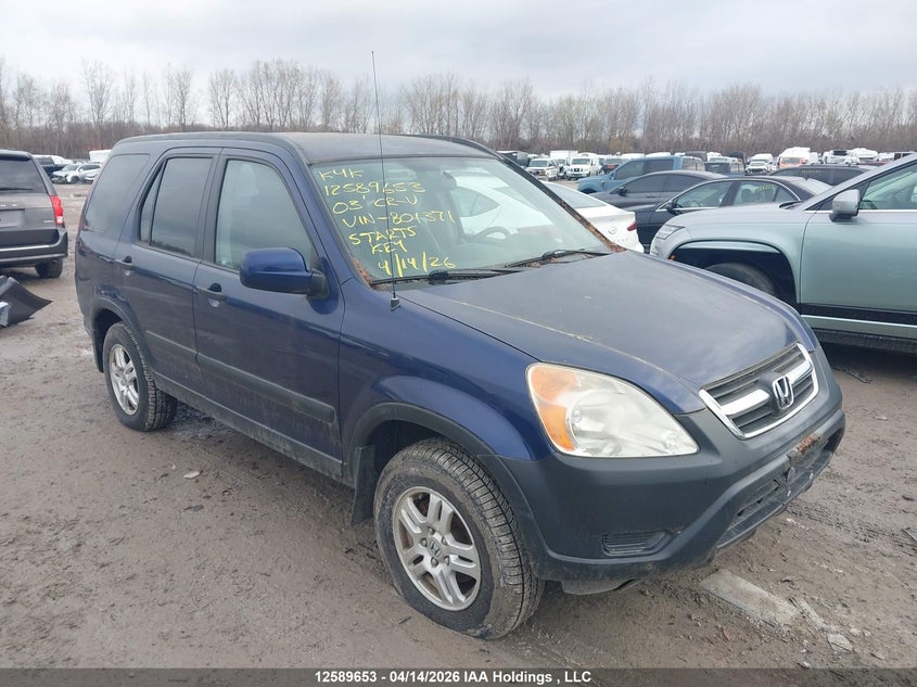 2003 Honda Cr-V Ex VIN: JHLRD78803C801371 Lot: 12589653