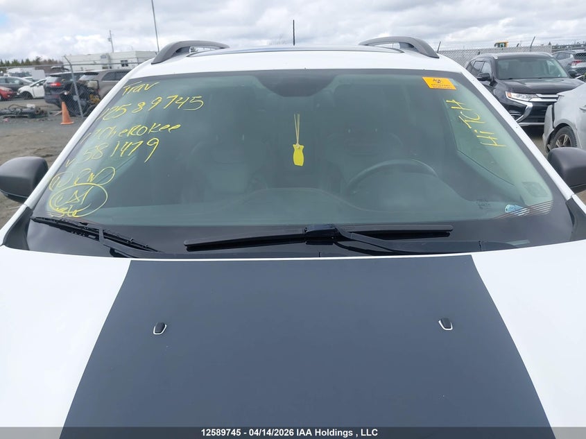 2017 Jeep Cherokee Trailhawk VIN: 1C4PJMBS6HW581479 Lot: 12589745