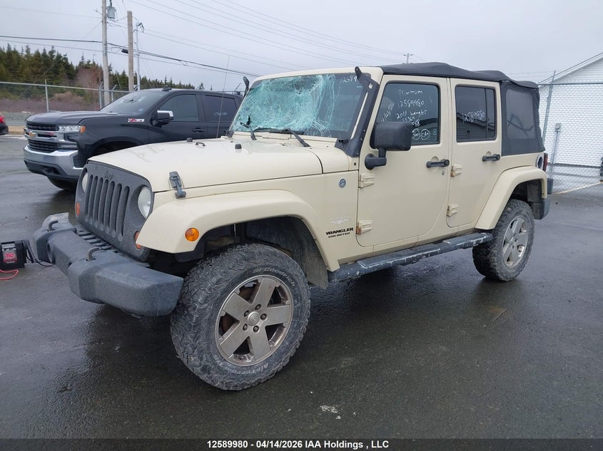 2011 Jeep Wrangler, Удар спереду, IAAI, VIN 1J4HA5H17BL555369 — фото 2