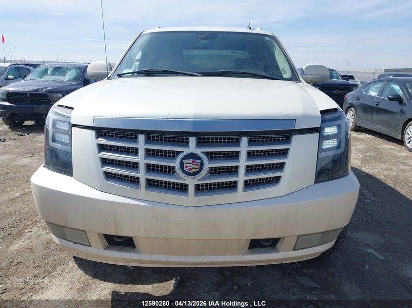 2007 Cadillac Escalade Ext VIN: 3GYEK62857G100178 Lot: 12590280