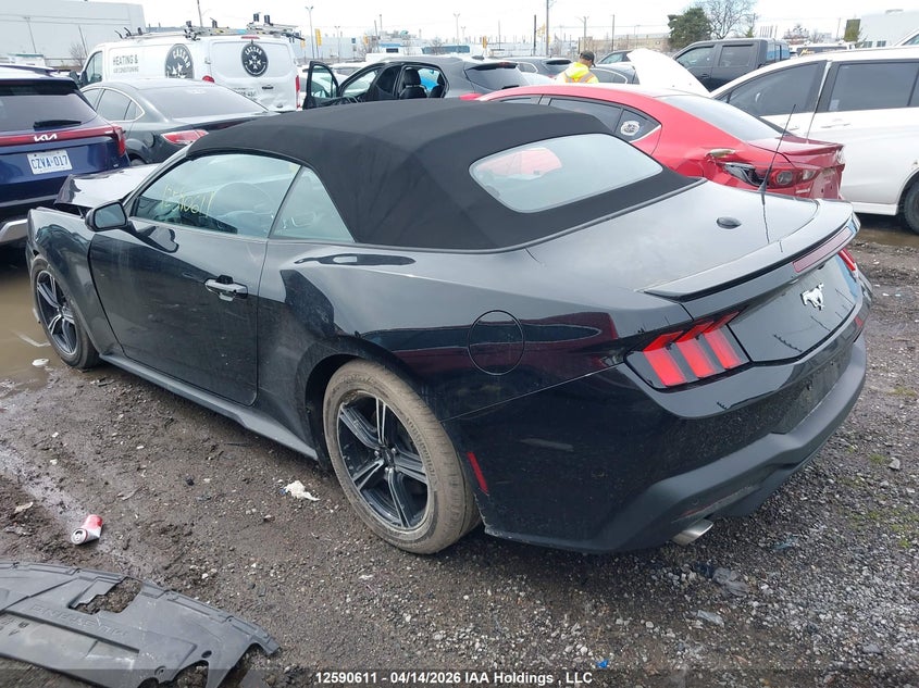 Vin: 1fagp8uh5s5116346, lot: 2986984, ford mustang 20253