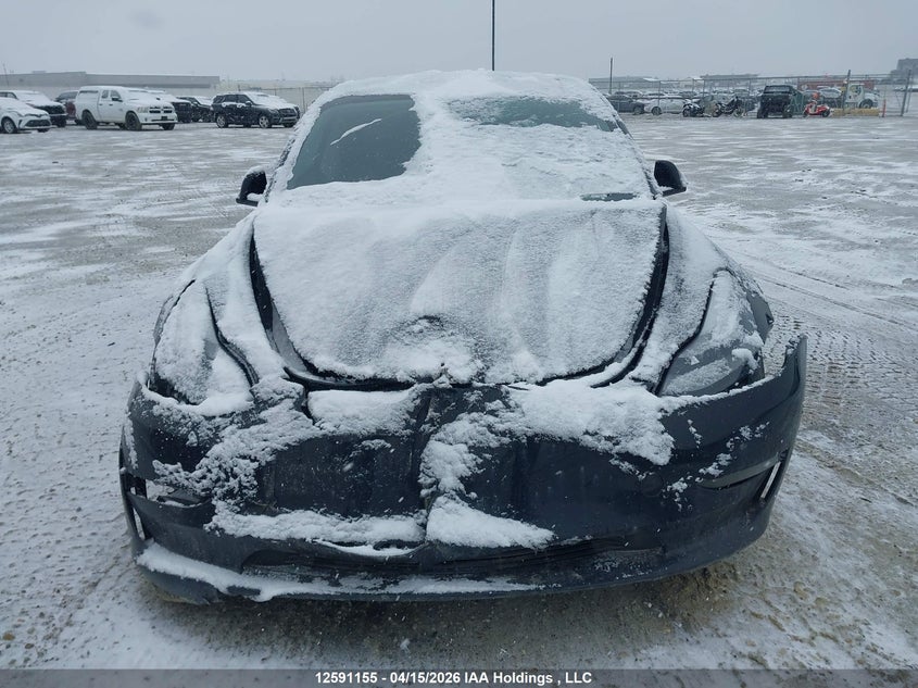 2021 Tesla Model 3 VIN: 5YJ3E1EB7MF916616 Lot: 12591155