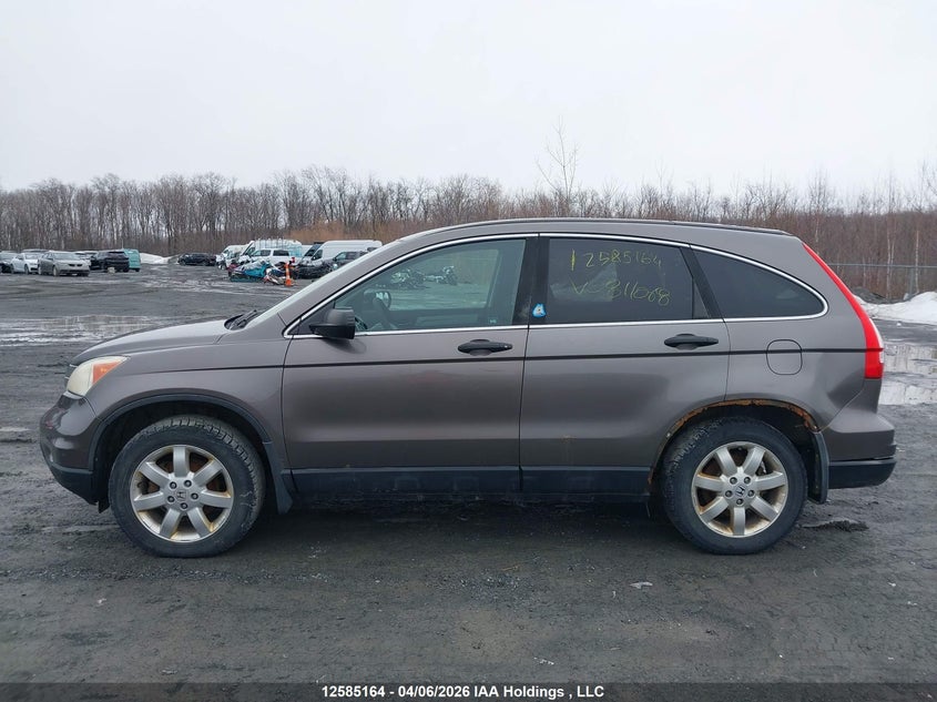 2010 Honda Cr-V Lx VIN: 5J6RE4H3XAL811068 Lot: 12585164x