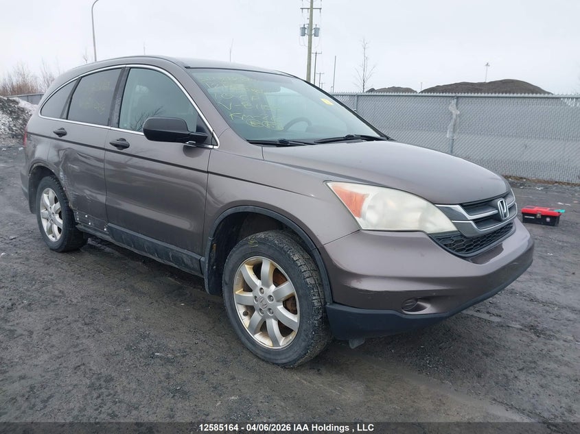 2010 Honda Cr-V Lx VIN: 5J6RE4H3XAL811068 Lot: 12585164x
