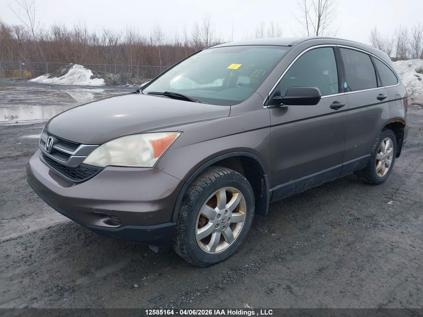 2010 Honda Cr-V Lx VIN: 5J6RE4H3XAL811068 Lot: 12585164x