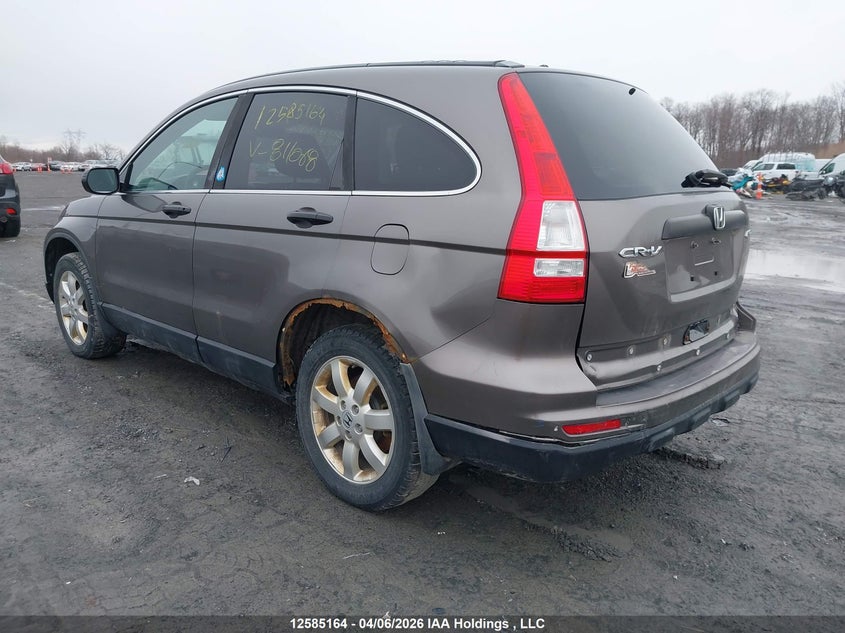 2010 Honda Cr-V Lx VIN: 5J6RE4H3XAL811068 Lot: 12585164x