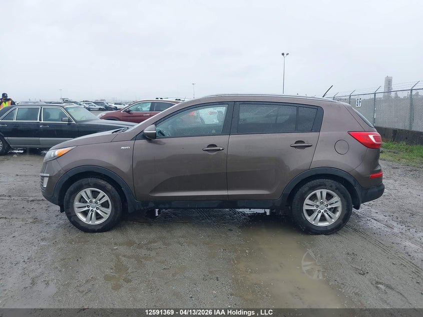 2012 Kia Sportage VIN: KNDPBCA22C7276394 Lot: 12591369