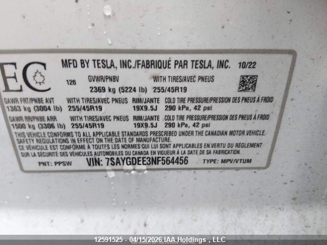 2022 Tesla Model Y VIN: 7SAYGDEE3NF564456 Lot: 12591525