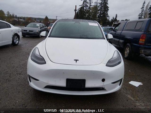 2022 Tesla Model Y VIN: 7SAYGDEE3NF564456 Lot: 12591525