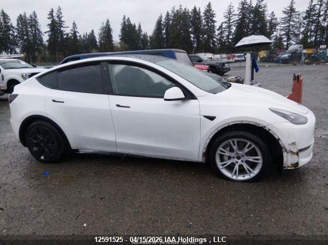 2022 Tesla Model Y VIN: 7SAYGDEE3NF564456 Lot: 12591525
