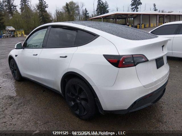 2022 Tesla Model Y VIN: 7SAYGDEE3NF564456 Lot: 12591525
