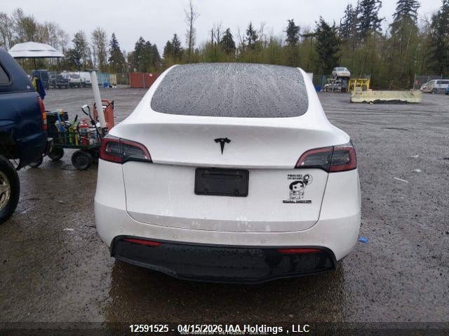 2022 Tesla Model Y VIN: 7SAYGDEE3NF564456 Lot: 12591525