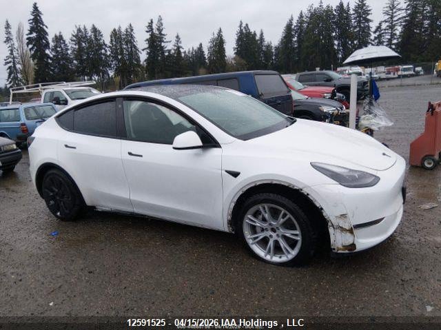 2022 Tesla Model Y VIN: 7SAYGDEE3NF564456 Lot: 12591525