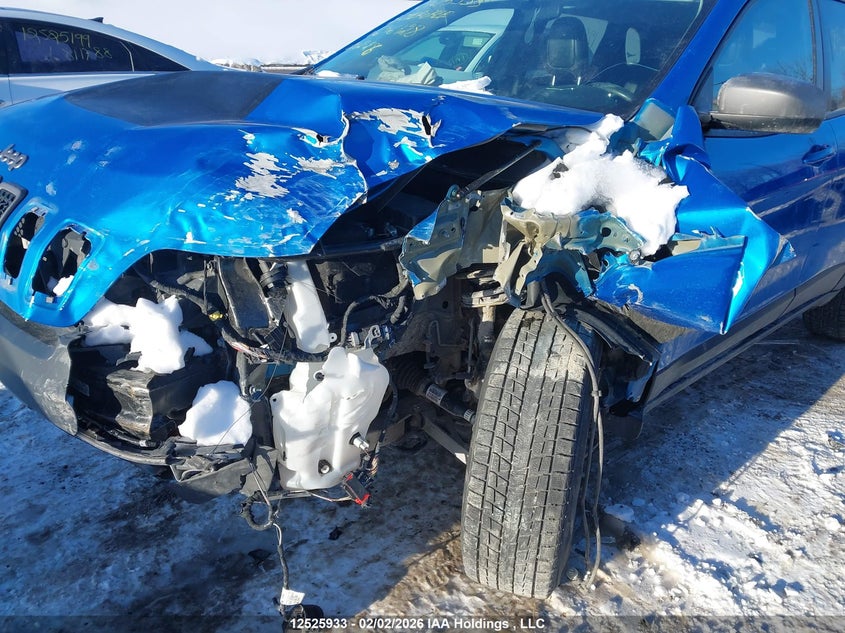 2020 Jeep Cherokee Trailhawk VIN: 1C4PJMBX1LD636128 Lot: 12525933X