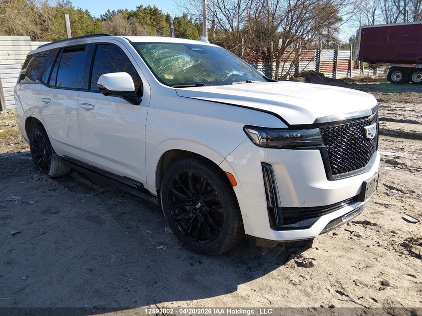 Vin: 1gys4gkl3rr155237, lot: 2989661, cadillac escalade 20241