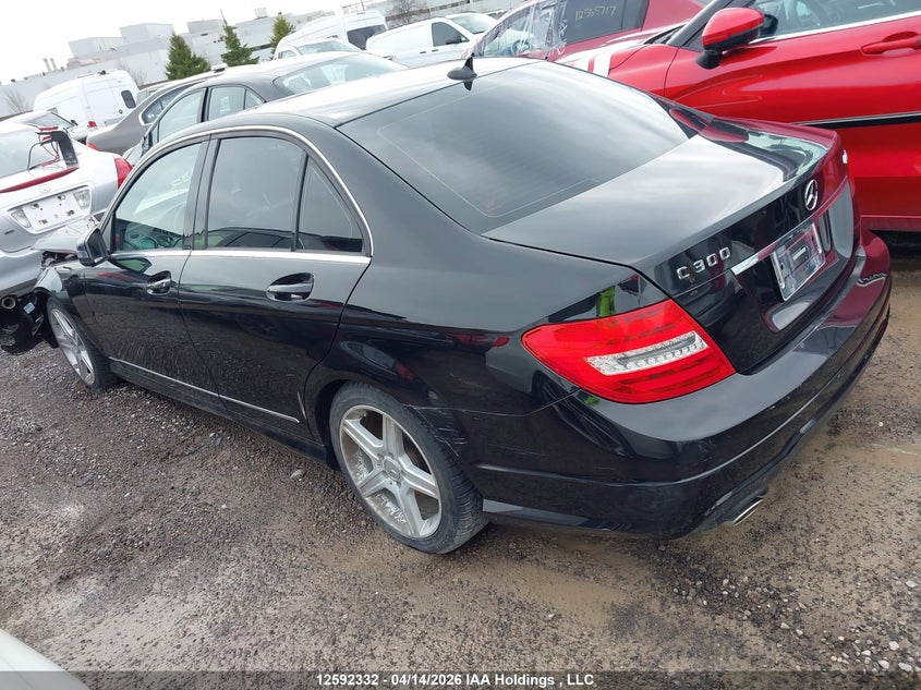 2014 Mercedes-Benz C 300 4Matic VIN: WDDGF8AB6EG189303 Lot: 12592332x