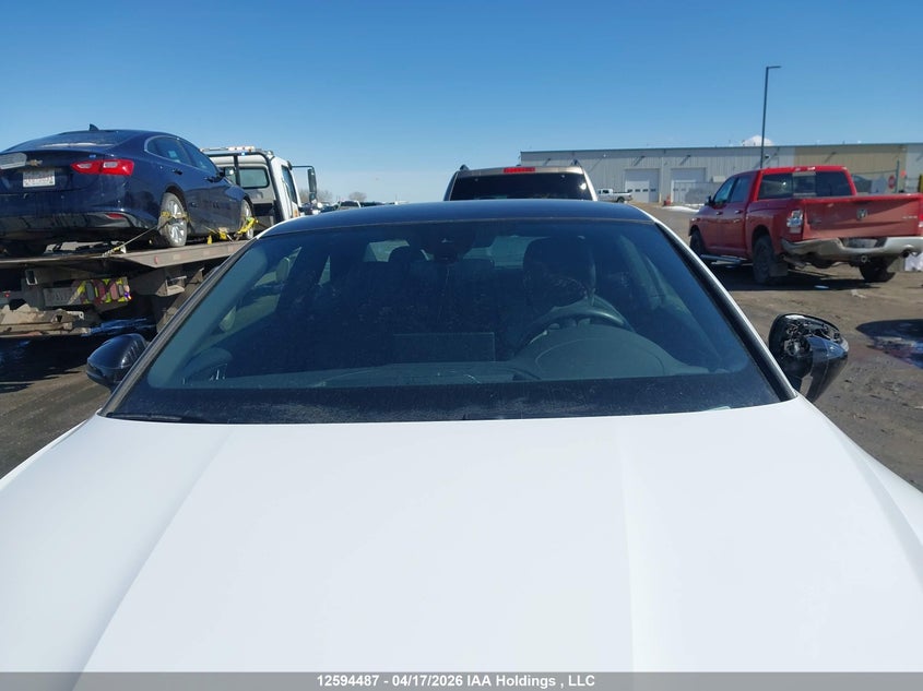 2021 Audi A5 2.0T Progressiv VIN: WAUTAAF50MA046699 Lot: 12594487