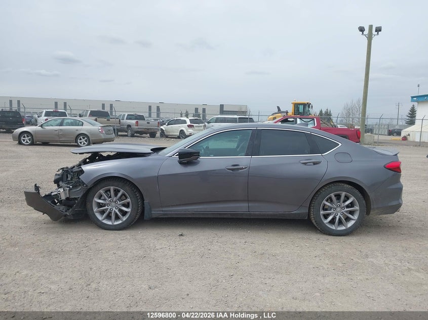 2021 Acura Tlx VIN: 19UUB6F30MA801805 Lot: 12596800