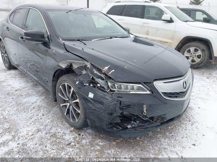 2015 Acura Tlx VIN: 19UUB3F38FA801567 Lot: 12597733