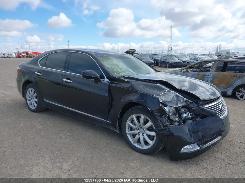 2009 Lexus Ls 460 VIN: JTHCL46F495002582 Lot: 12597786