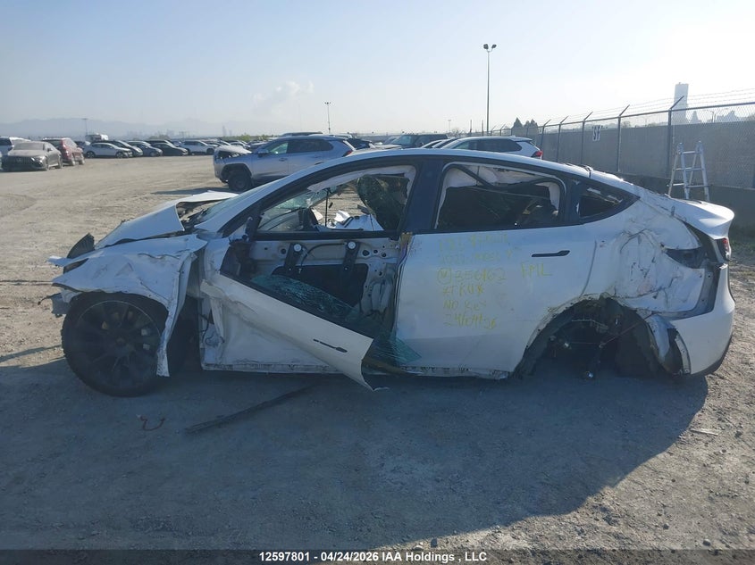 2022 Tesla Model Y VIN: 7SAYGDEE9NF356162 Lot: 12597801