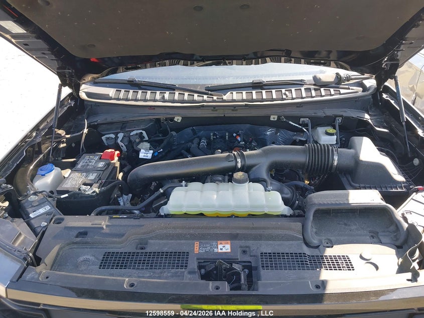 2025 Ford Expedition Active VIN: 1FMJU1J82SEA53769 Lot: 12598559