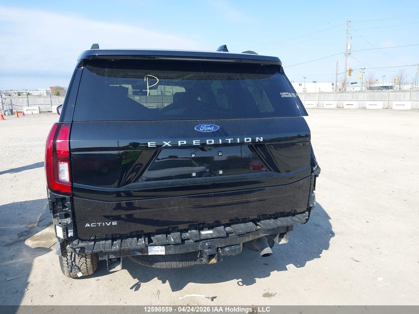 2025 Ford Expedition Active VIN: 1FMJU1J82SEA53769 Lot: 12598559