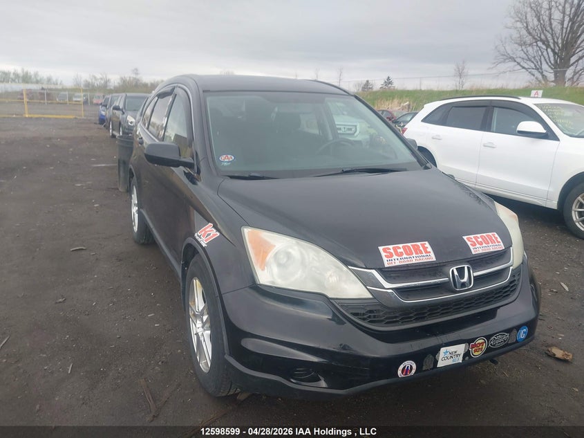 Vin: 5j6re4h31bl808822, lot: 2995777, honda cr-v lx 2011 img_1