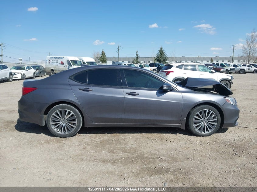 2018 Acura Tlx Tech VIN: 19UUB3F51JA801114 Lot: 12601111