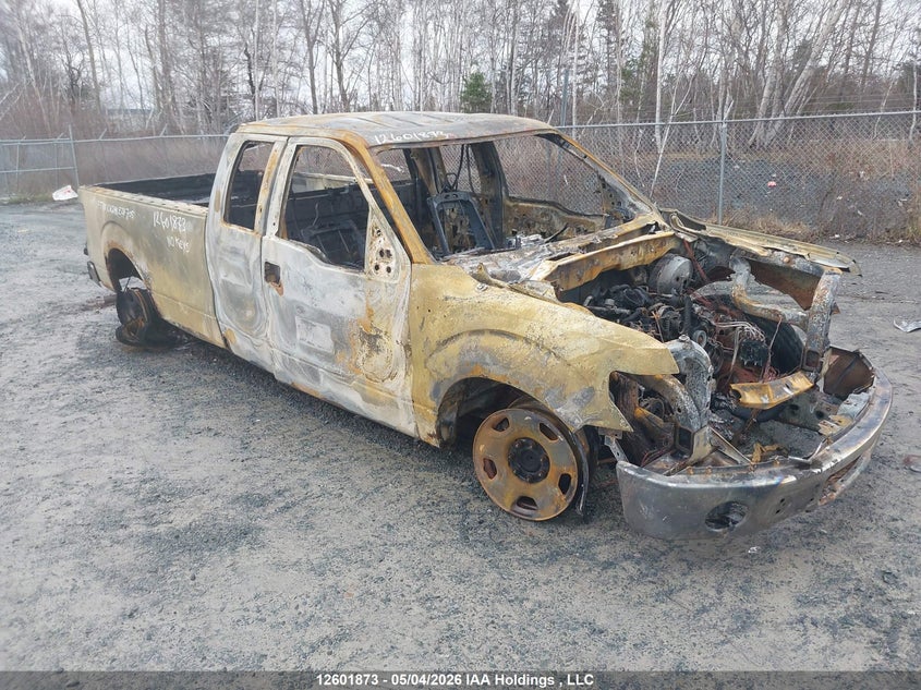 2010 FORD F-150 XL/XLT