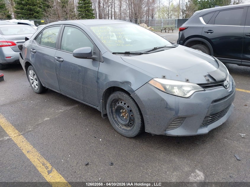 Vin: 2t1burhexec162426, lot: 2999564, toyota corolla 2014 img_1