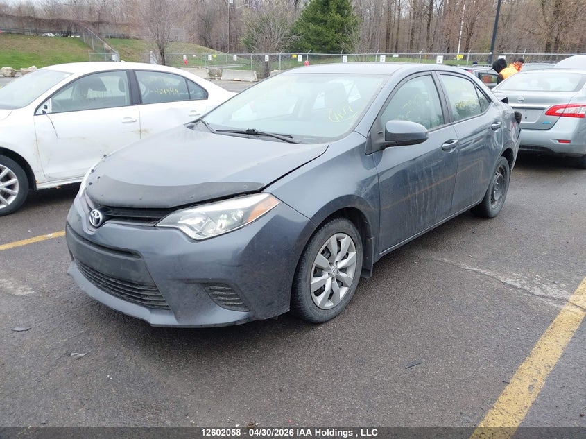 Vin: 2t1burhexec162426, lot: 2999564, toyota corolla 20142