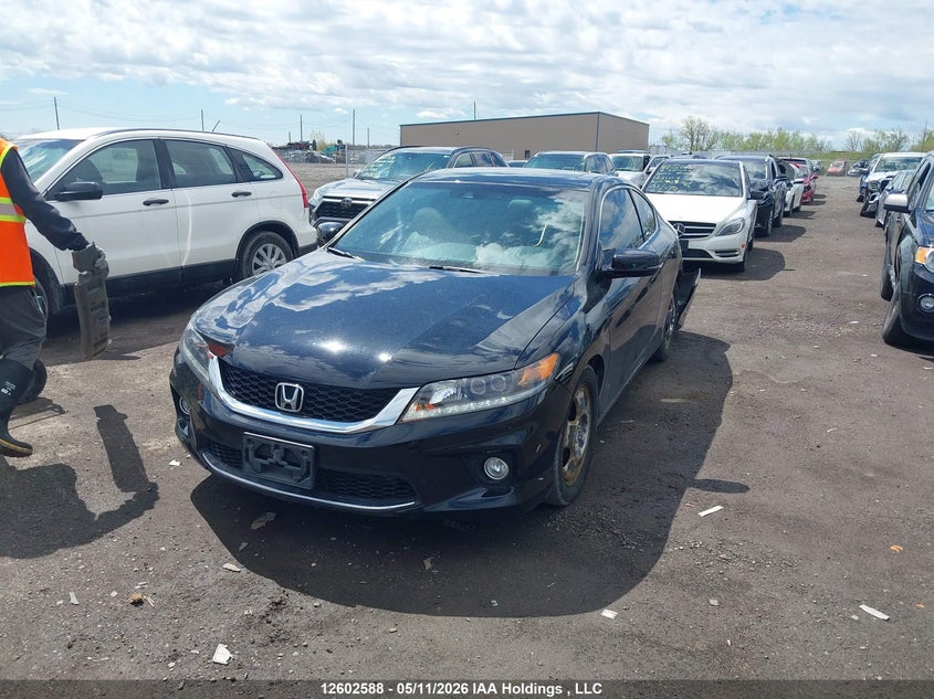 2013 Honda Accord, Rear, IAAI, VIN 1HGCT2B8XDA800454 — photo 2