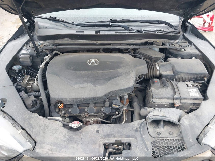 2019 Acura Tlx Advance VIN: 19UUB3F87KA800481 Lot: 12602648