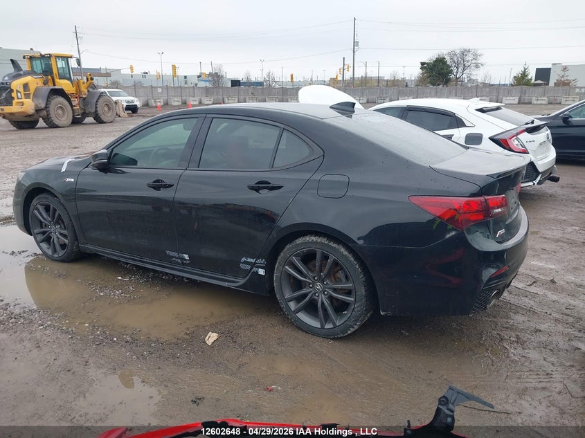 2019 Acura Tlx Advance VIN: 19UUB3F87KA800481 Lot: 12602648