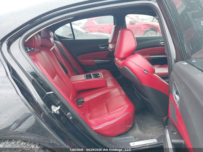 2019 Acura Tlx Advance VIN: 19UUB3F87KA800481 Lot: 12602648