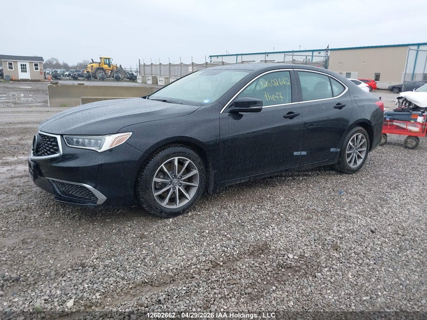 2019 Acura TLX, Угон, IAAI, VIN 19UUB1F56KA800045 — фото 2