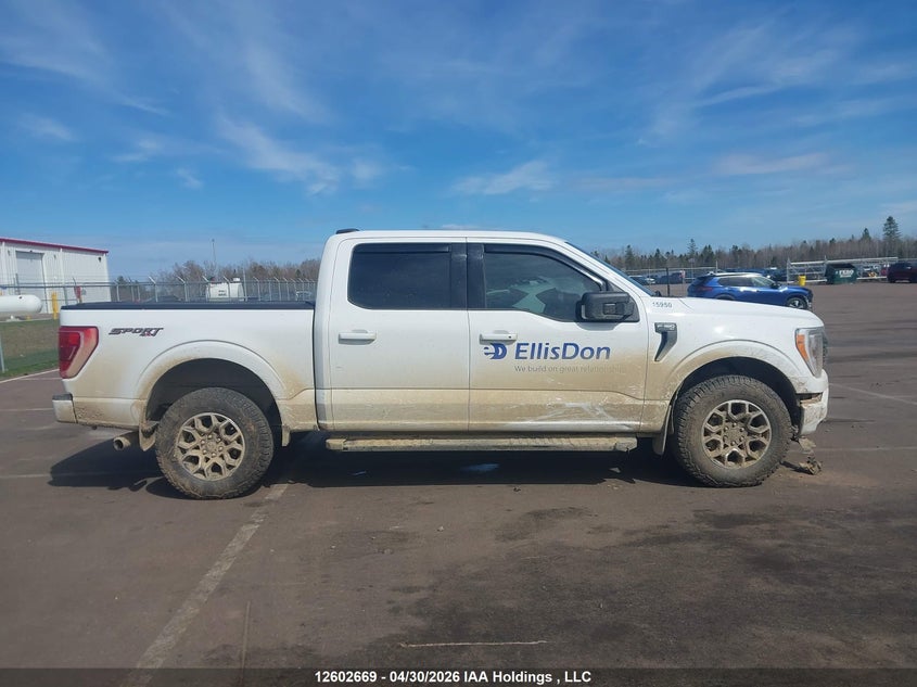 2023 FORD F150 SUPERCREW PICKUP 3.5L V-6 DI, DOHC, VVT, TURBO, 400HP