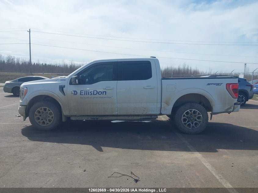 2023 FORD F150 SUPERCREW PICKUP 3.5L V-6 DI, DOHC, VVT, TURBO, 400HP