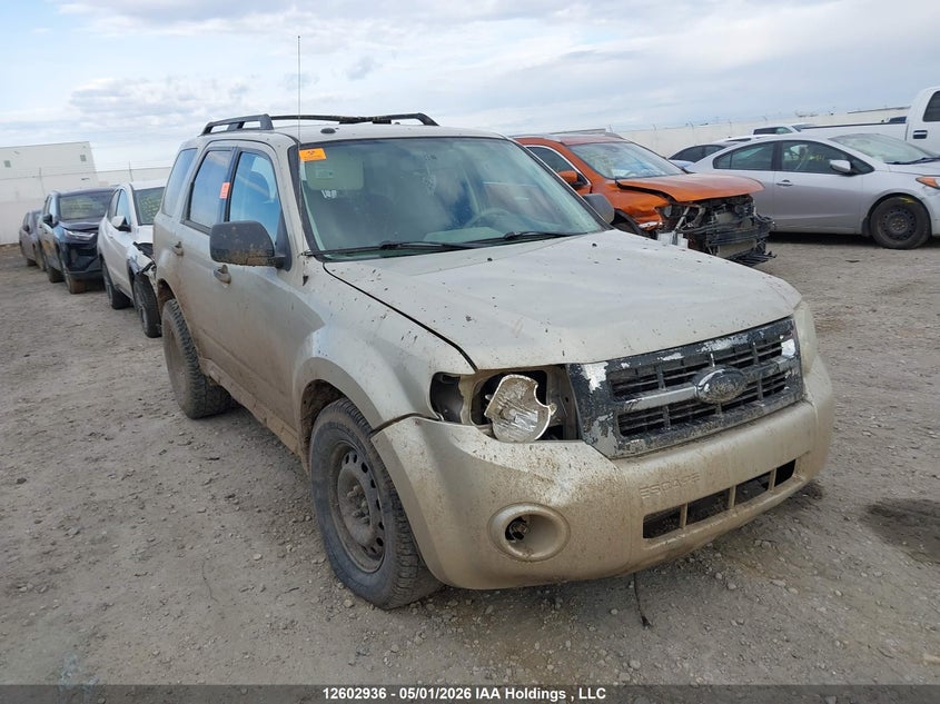 Vin: 1fmcu0d77aka50422, lot: 3000529, ford escape xlt 2010 img_1