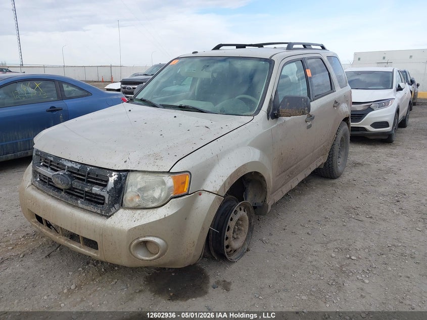 Vin: 1fmcu0d77aka50422, lot: 3000529, ford escape xlt 20102