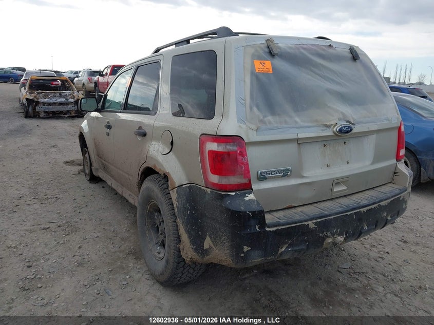 Vin: 1fmcu0d77aka50422, lot: 3000529, ford escape xlt 20103
