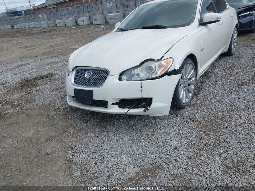 2009 Jaguar Xf Premium Luxury VIN: SAJXA06B49HR30648 Lot: 12603159