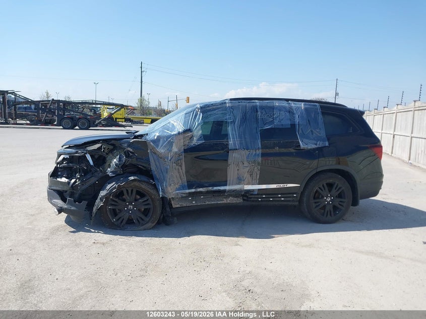 2020 Honda Pilot VIN: 5FNYF6H07LB502910 Lot: 12603243