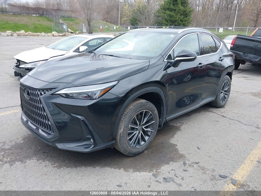 2025 Lexus NX, Удар ззаду, IAAI, VIN 2T2GKCEZ1SC047995 — фото 2