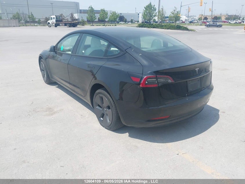 Vin: 5yj3e1ea4pf557804, lot: 3001834, tesla model 3 20233