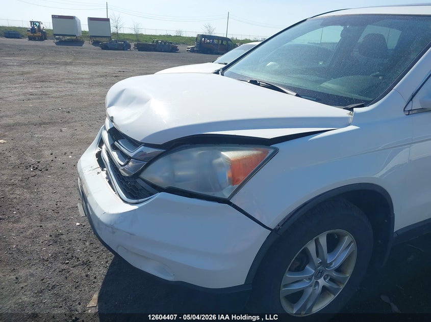 2010 Honda Cr-V Ex VIN: 5J6RE4H5XAL804624 Lot: 12604407