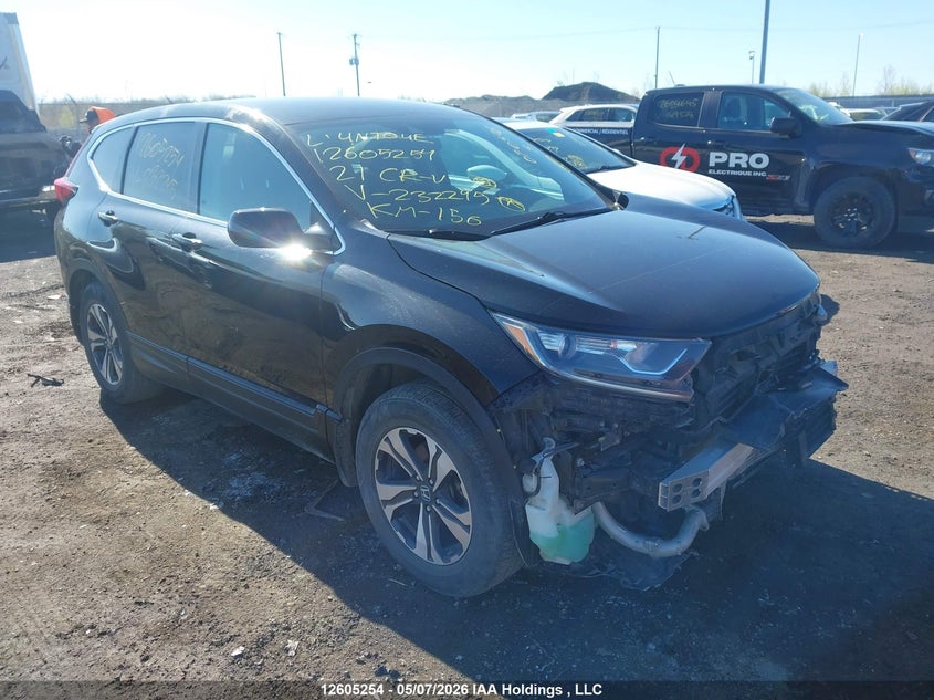Vin: 2hkrw2h24mh232245, lot: 3003083, honda cr-v lx 2021 img_1