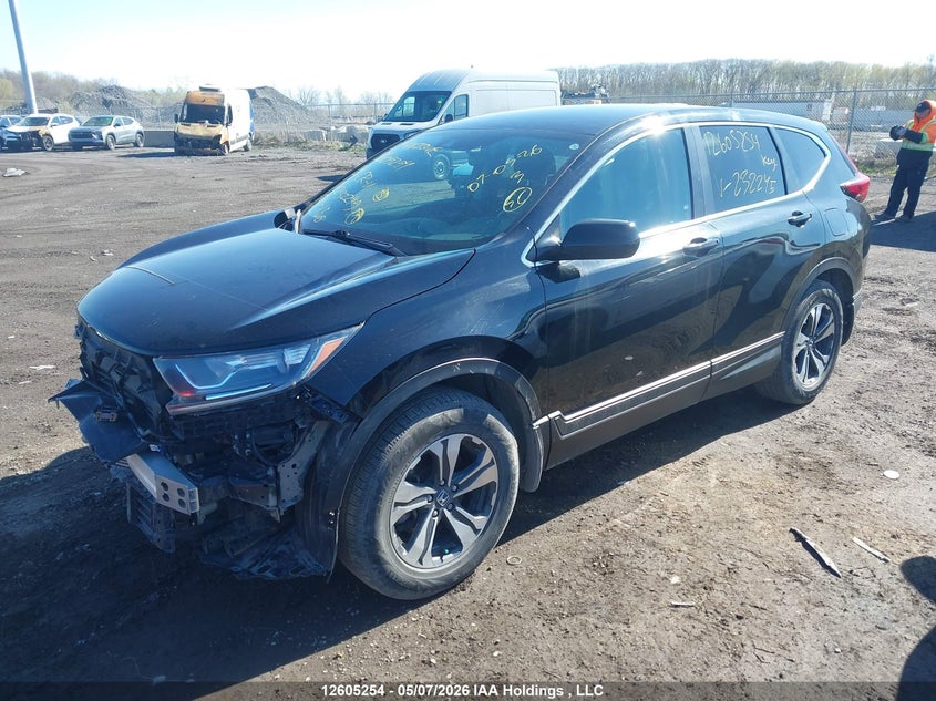 Vin: 2hkrw2h24mh232245, lot: 3003083, honda cr-v lx 20212